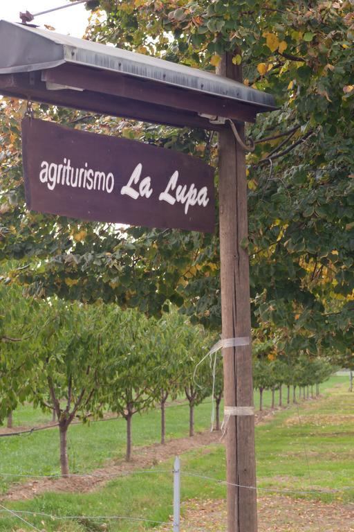 Agriturismo La Lupa Madonna della Provvidenza Εξωτερικό φωτογραφία